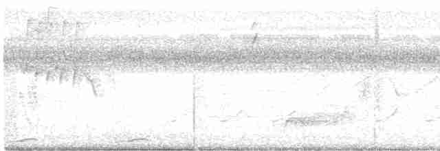Карликовая земляная горлица - ML529226901