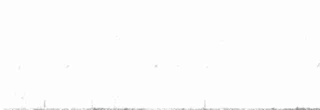Шишкар ялиновий - ML529246871