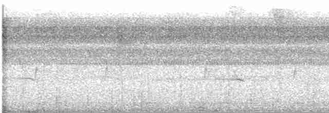 Хохлатая пенелопа - ML529249471