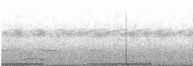 Триперстка північна - ML529254701