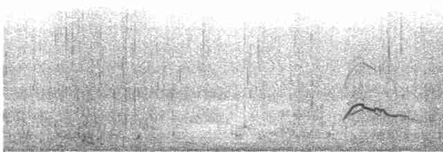 Магелланова ржанка - ML529314501