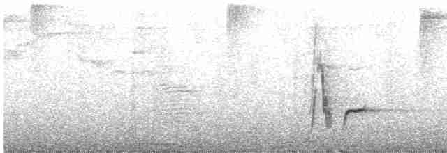 Cuitlacoche Oscuro - ML529392441