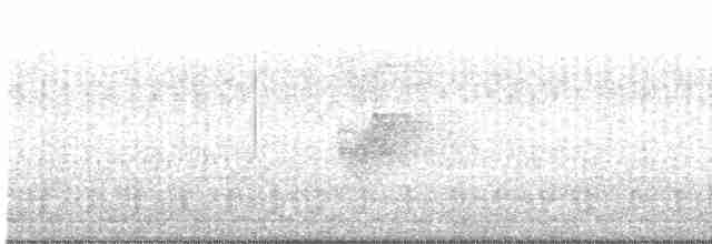 Savannennachtschwalbe - ML529436521