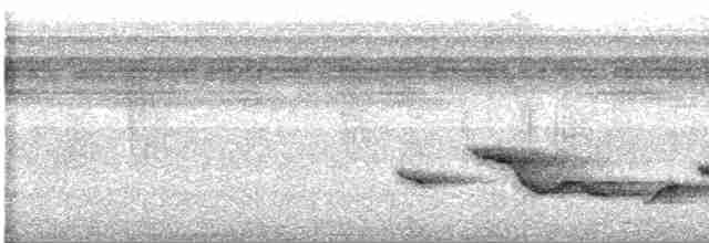 Nava Çıtkuşu - ML529440251