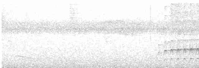 Длинноклювый улиткоед - ML529572661