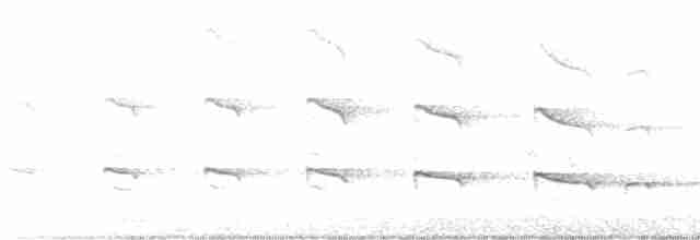 African Gray Hornbill - ML529596291