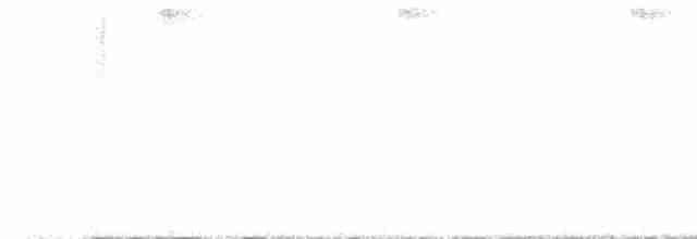 Черноухий колибри - ML529601811