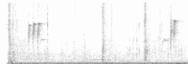 Трясохвіст темночеревий - ML529610611