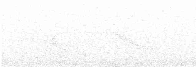 Andean Tinamou - ML529623561