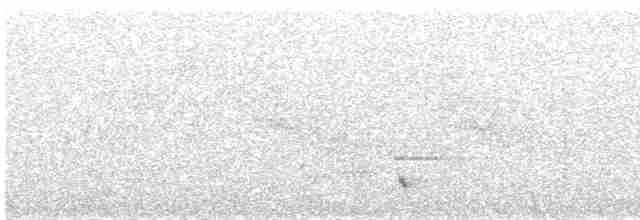 Kara Kanatlı Yer Kumrusu - ML529623711
