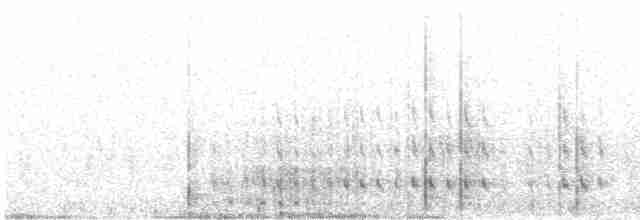 holoubek černokřídlý - ML529625451