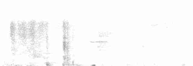 svarthodefluesnapper - ML529719291