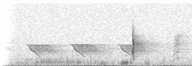 Erguvan Bıyıklı Balkuşu - ML529756