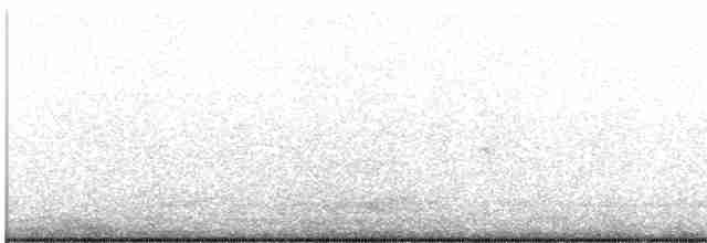 Black-billed Gull - ML529756131