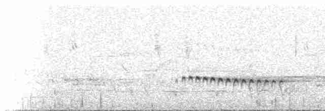 Fan-tailed Cuckoo - ML529769
