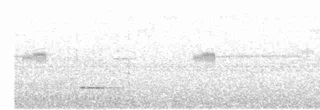 Small-billed Tinamou - ML529773331