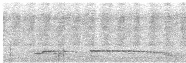 Small-billed Tinamou - ML529773641