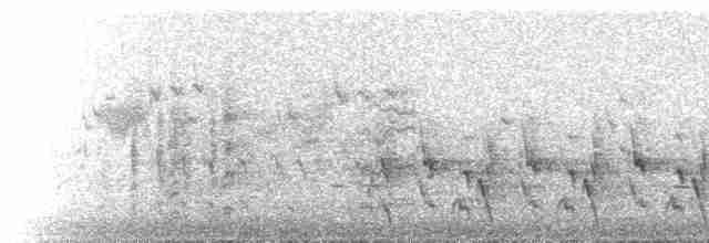 Erguvan Bıyıklı Balkuşu - ML529797