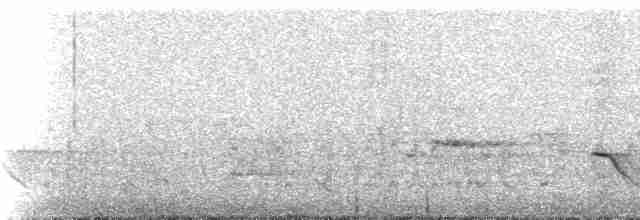 Серогрудая дриада - ML529816