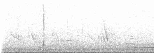 ornathonningeter - ML529830