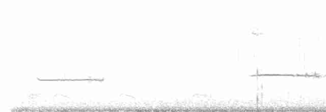 Белогорлая зонотрихия - ML529837961