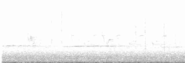strakapoud osikový - ML529919271