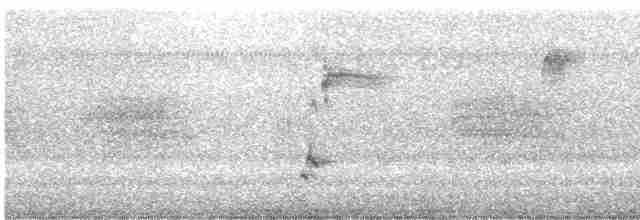 Loggerhead Shrike - ML529920141