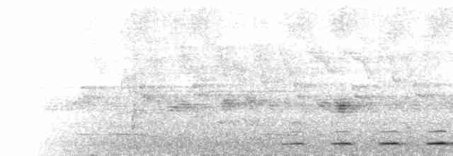  - Rufescent Screech-Owl (Colombian)