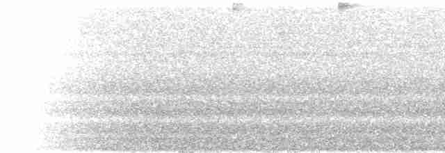  - Speckled Hummingbird (melanogenys Group)