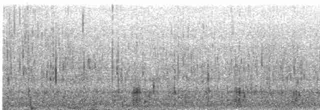 Common Merganser (North American) - ML530041171
