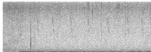 Çatal Kuyruklu Ormanyıldızı - ML530066041