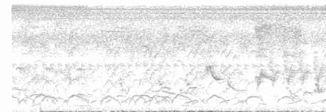 白眉秧雞 - ML530125921