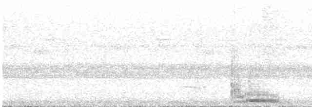 arassari skvrnozobý - ML530131541