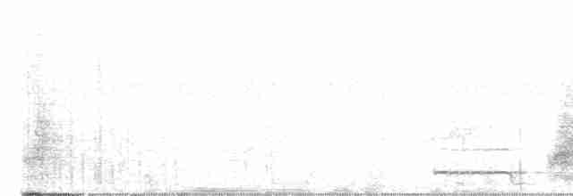 Urraca de Raquetas - ML530134051