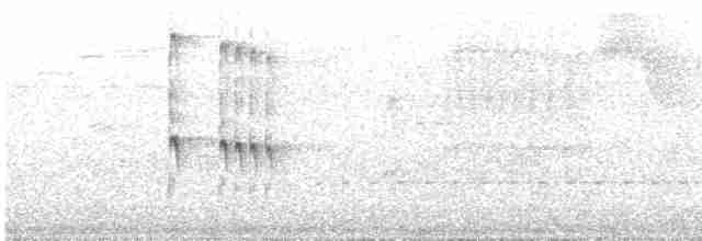 Çatal Kuyruklu Todi Tiranı - ML530137281