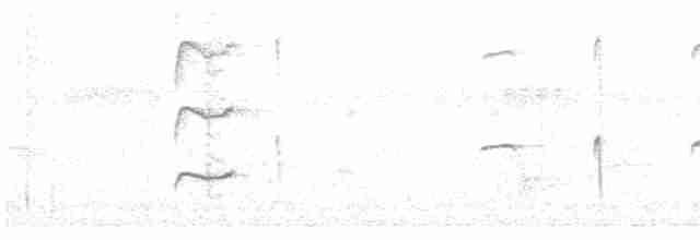 Tamatia rayé - ML530137481