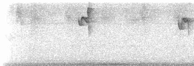 kolibřík Pretreův - ML530149251