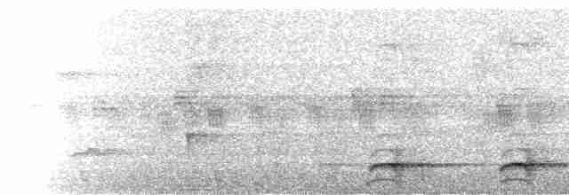  - Crimson-rumped Toucanet