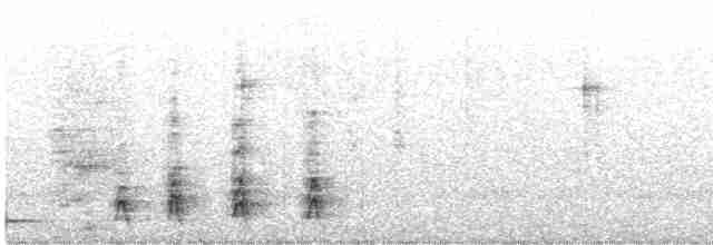 Göçmen Ardıç (confinis) - ML530174101