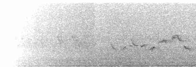 Ötücü Vireo (gilvus) - ML530194591
