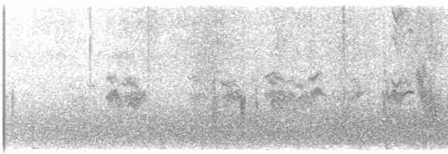 Kara Alamecek - ML530204121