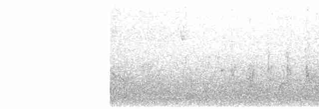 svartfjellfink - ML530204131