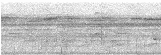Лінивка плямистогруда - ML530206301