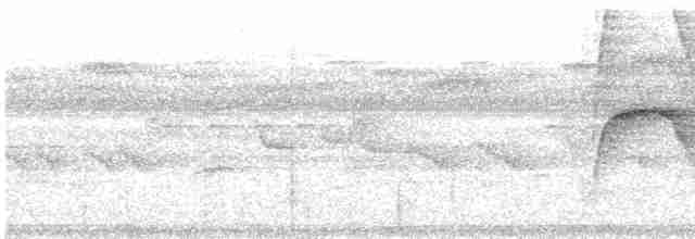 Turuncu Gözlü Yassıgaga - ML530207031