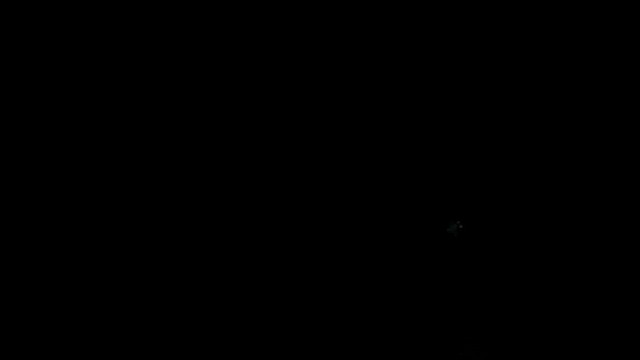 Puerto Rican Nightjar - ML530225691