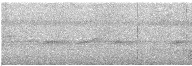 Planalto Gri Karıncaavcısı - ML530233541