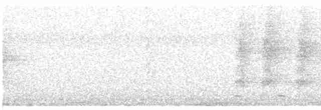 Chevêchette brune - ML530233781