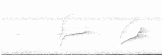 Weißbrauen-Dickichtschlüpfer - ML530234051