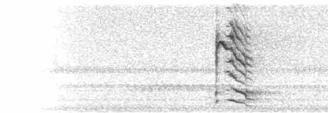  - Powerful Woodpecker