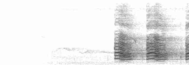  - Red-throated Caracara